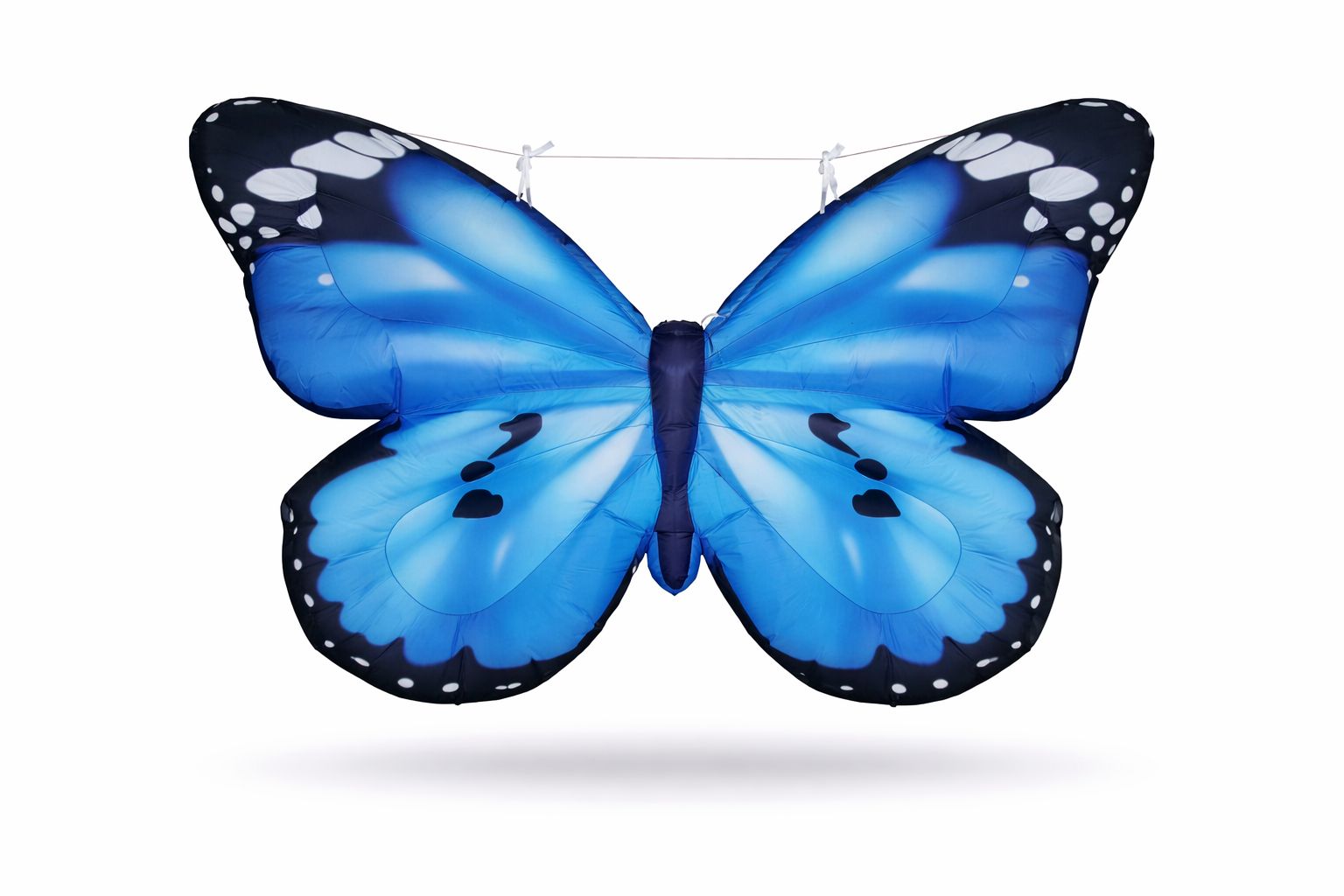Mariposa azul